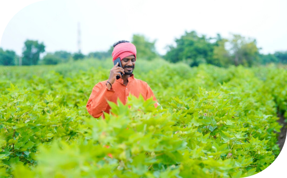 A person talking in his mobile in green farming field