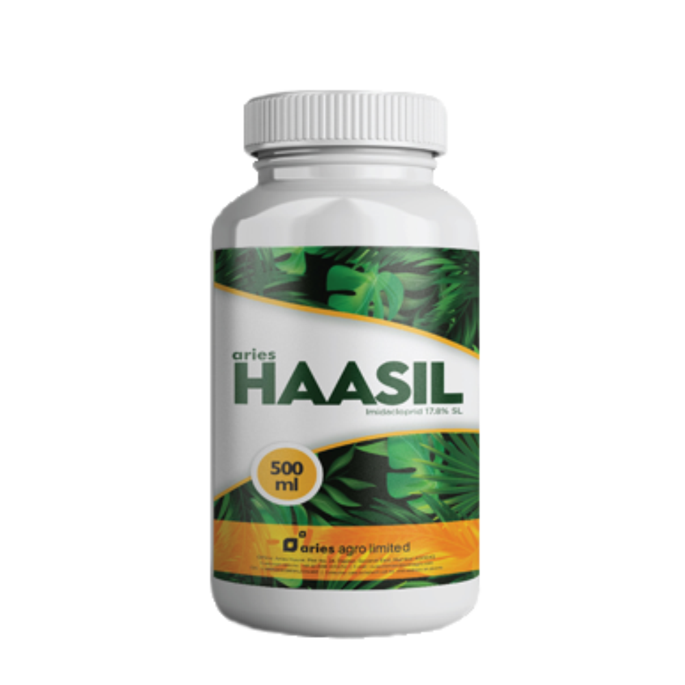 Haasil