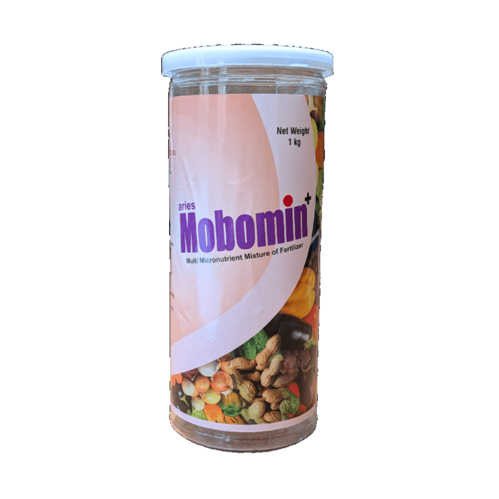 Mobomin