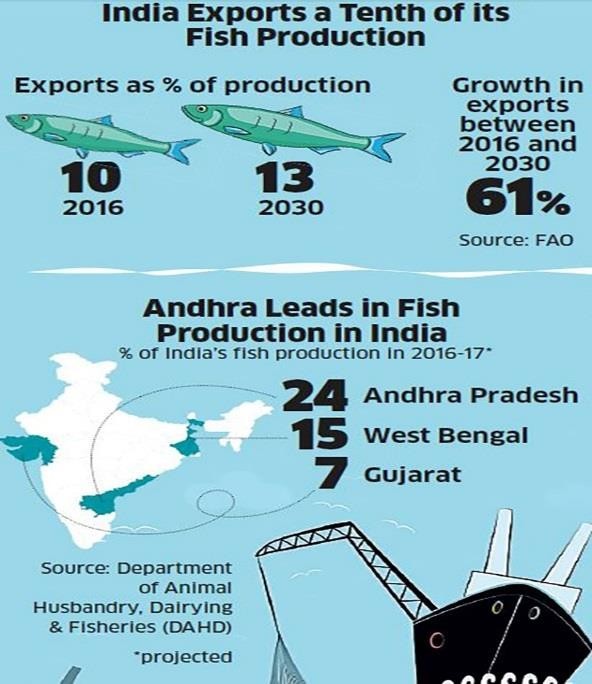 Fish production Export Percentage chart