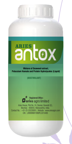 Antox