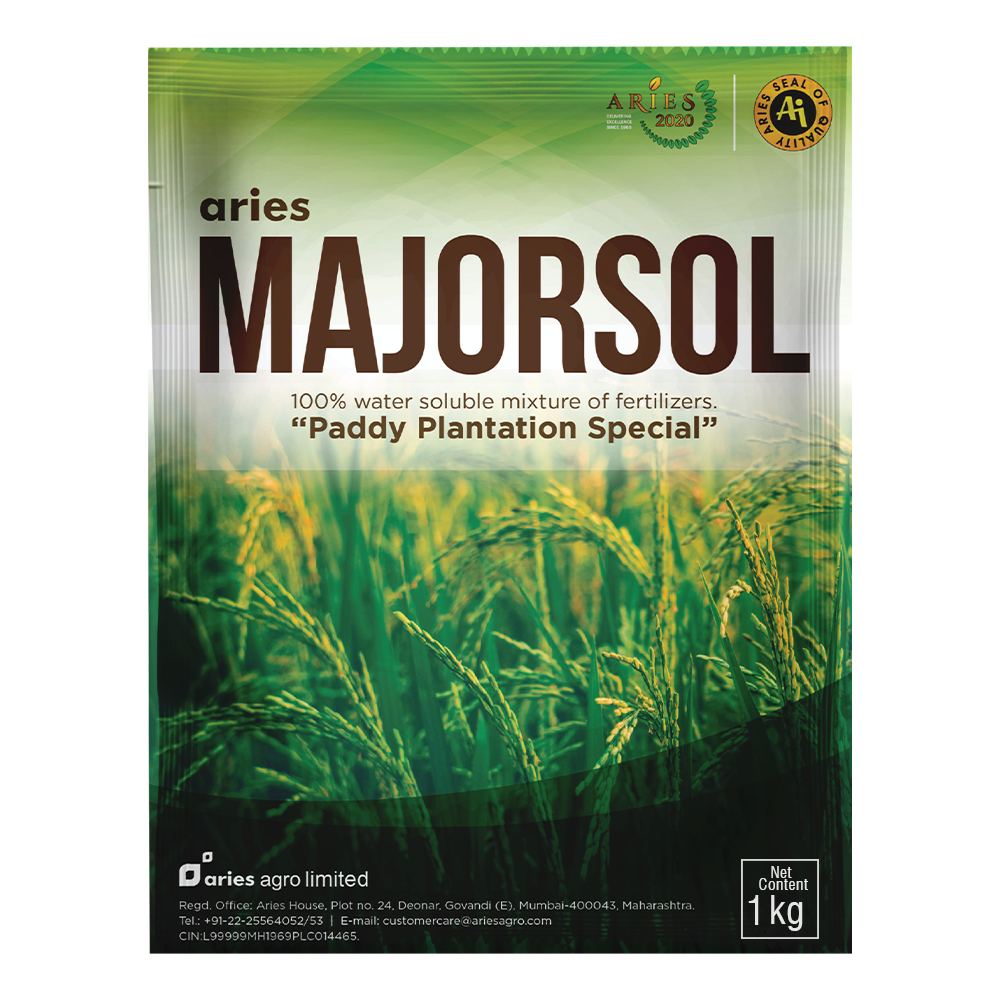 Majorsol Paddy