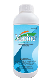 Marino Liquid