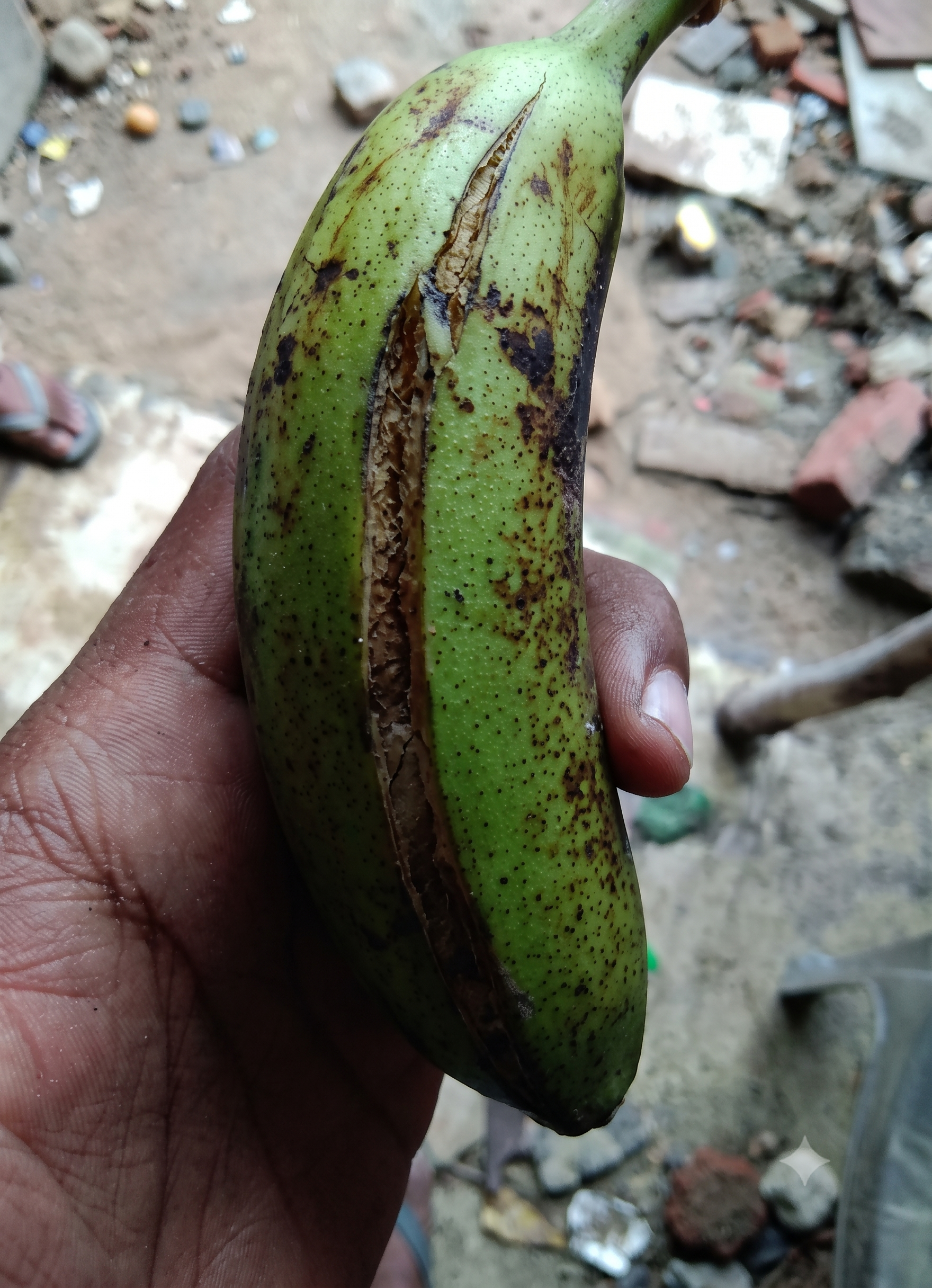banana boron