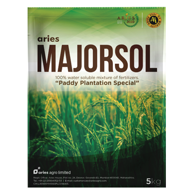 Aries Majorsol Paddy Plantation Special Product