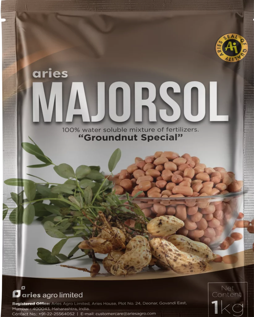 Majorsol groundnut mockup img