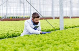 Unlocking the Potential of Agriculture – The Role of Aries BhuParikshak