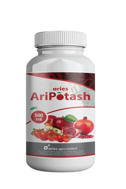 AriPotash