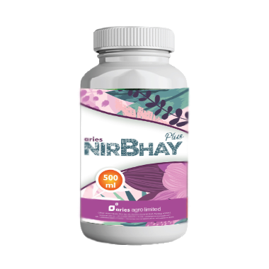 Nirbhay Plus