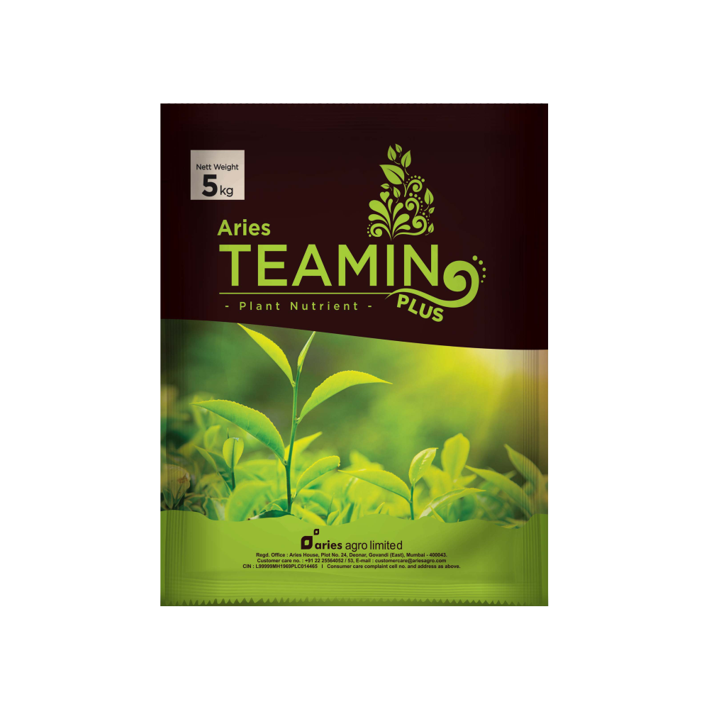 Teamin Powder