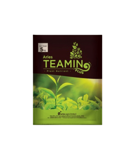 teamin