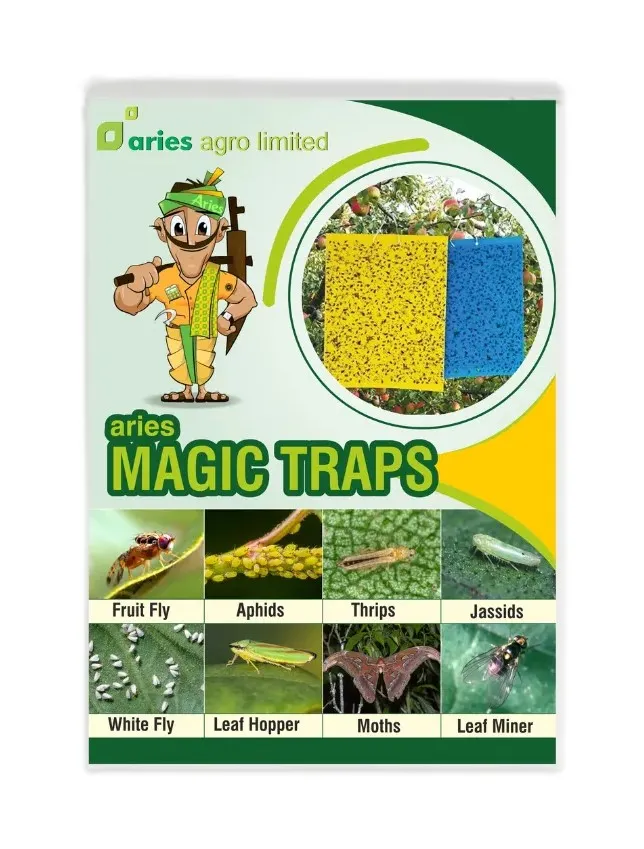 Aries Magic Trap