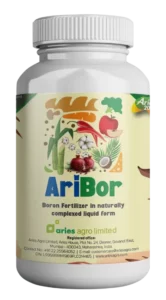 Aribor