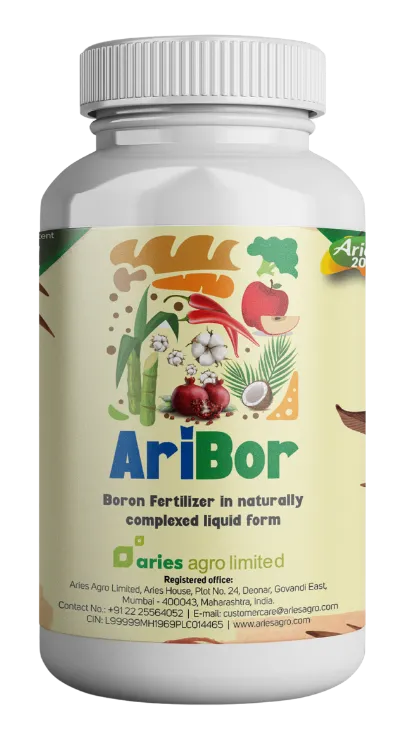 Aribor