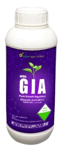 GIA