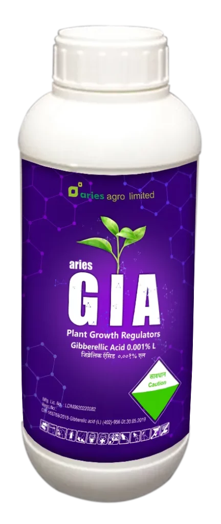 GIA