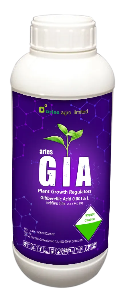 GIA