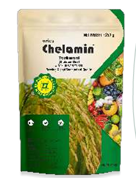 Chelamin S.A