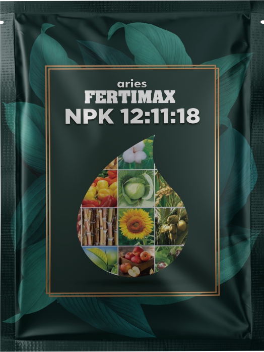 Fertimax NPK 121118