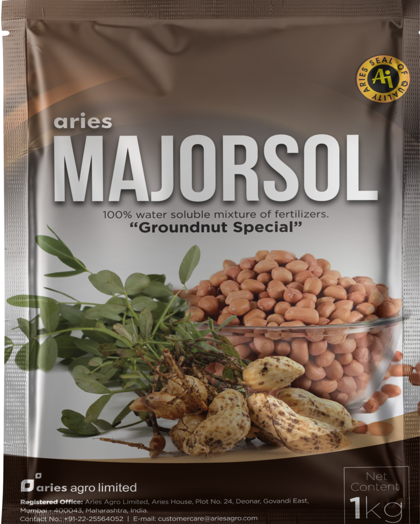 Majorsol Groundnut