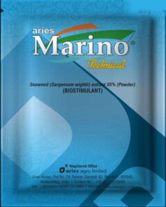 Marino Technical