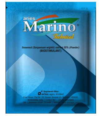 Marino Technical