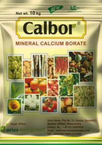 New calbor