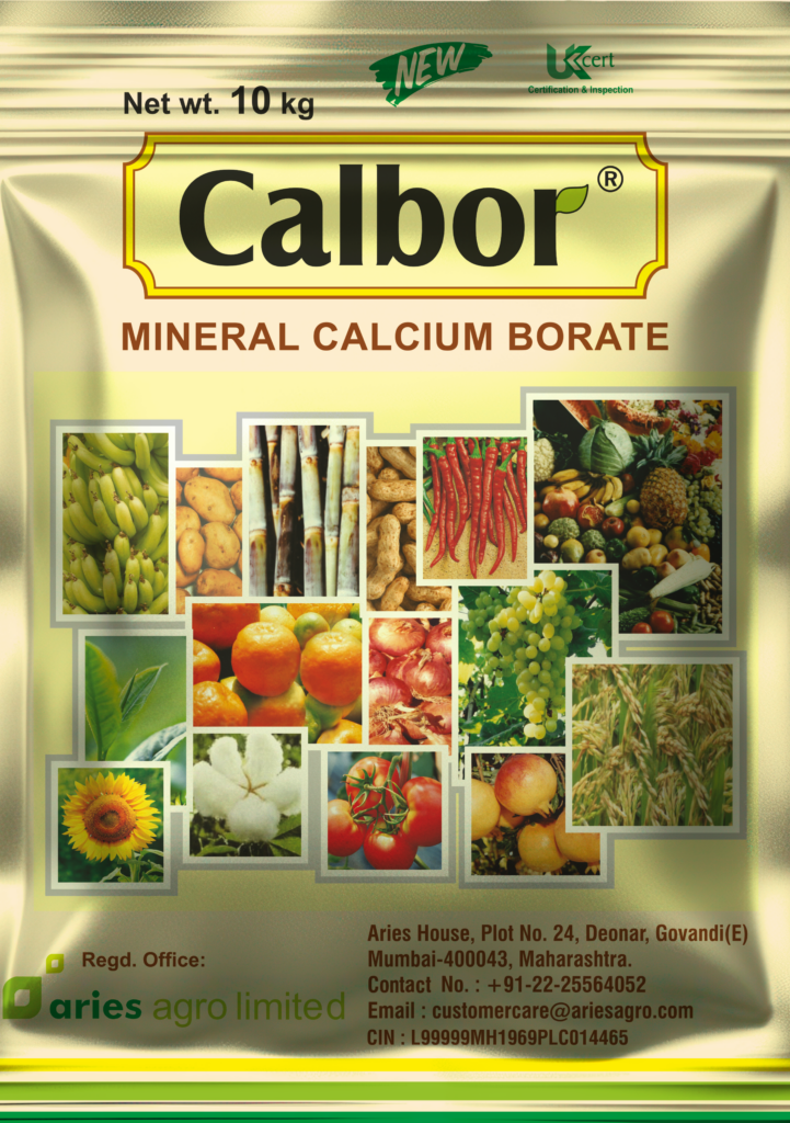 New calbor