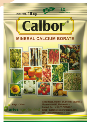 New calbor