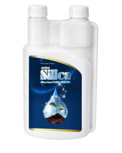 Aries Silica