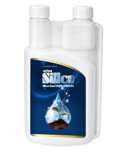 Aries Silica