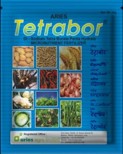 Tetrabor
